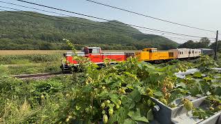 原色機2端先頭！JR北海道石北本線「ザ・ロイヤルエクスプレス」と天然？ホップ “The RoyalExpress”with natural hops,Sekihoku line,Hokkaido,Jp screenshot 4