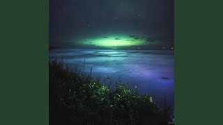 Echoes Through the Night