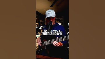 4-snarige vs. 5-snarige vs. 6-snarige #bassist #bassist #bas