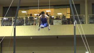 Paul Ruggeri – Still Rings – 2015 Winter Cup Finals