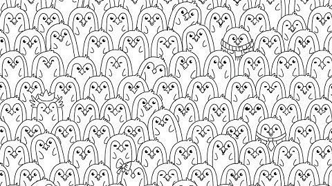 Annoying Brain Puzzle - Level 2 | Solution