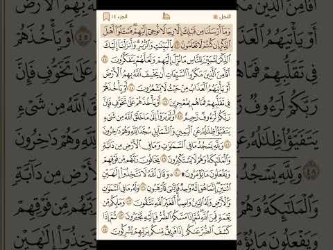 سورة النحل كاملة مكتوبة القارئ محمد اللحيدان القرآن الكريم