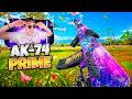 AK-74 TOTALEMENT META SUR REBIRTH 😍🏝️