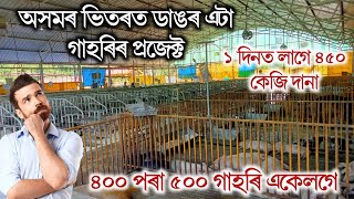 অসমৰ ভিতৰত এটা ডাঙৰ গাহৰি প্ৰজেক্ট || Biggest Pig Farm Project in Assam || Pig Farm in Assam