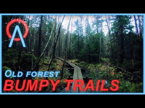 Bumpy Trails || Cross Country Running