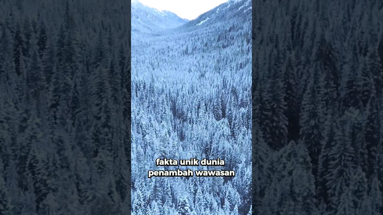 Fakta unik menambah wawasan dunia 