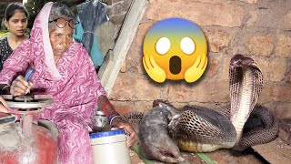 80 साल की बूढ़ी माँ के सामने एक ऐसा मंजर देखने को मिला, जिसे देखकर होश उड़ गए।Dangerous snake Rescue