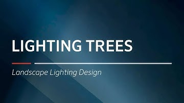 Lighting Trees  | Landscape Lighting Design by FX Luminaire