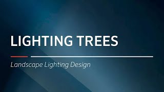 Lighting Trees  | Landscape Lighting Design by FX Luminaire screenshot 4