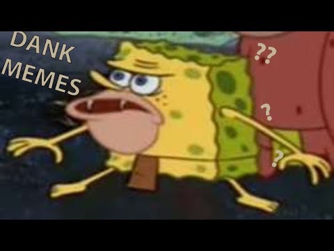 The Best Spongebob Dank Memes Compilation! - YouTube