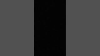 Bigo