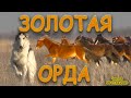 ЗОЛОТАЯ ОРДА  Ч2  Состязания борзых собак Палласовский район 06 07 12 2020г