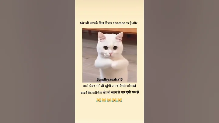 #viral #funny #trending #memes #catvideos #viralvideo #viralshort #youtubeshorts #trendingshorts #yt
