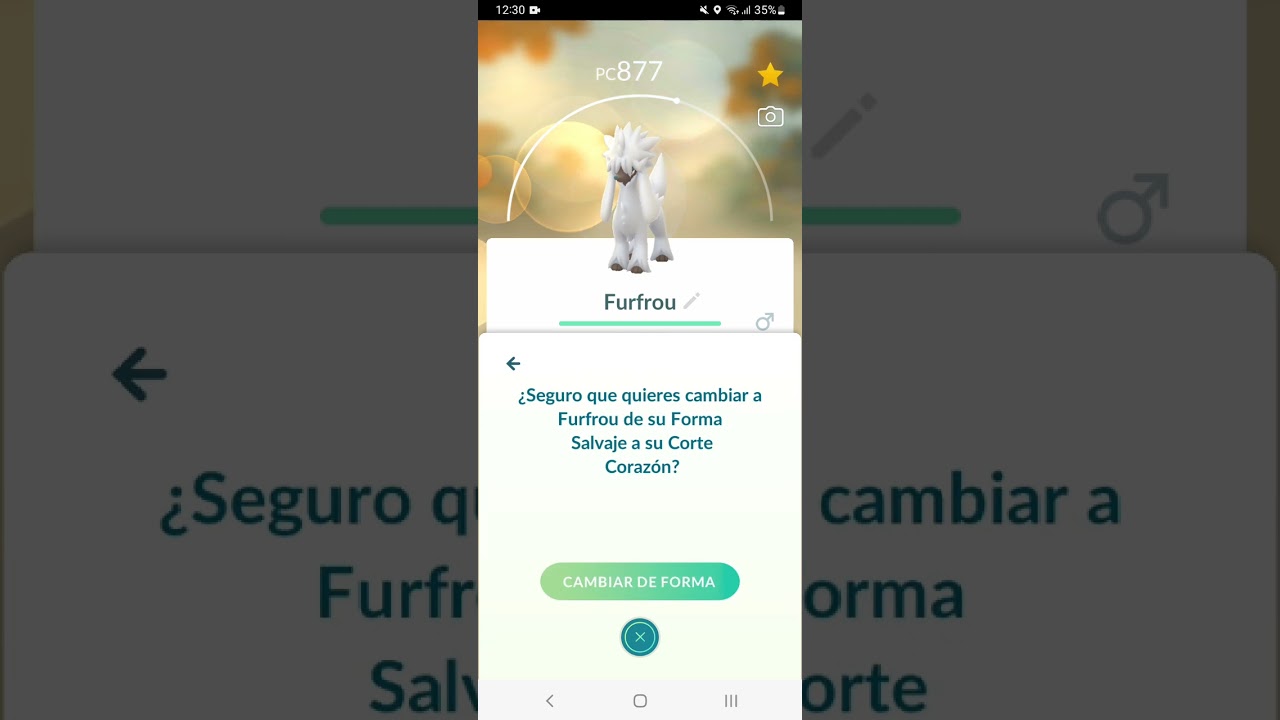 Furfrou Corte Corazón 