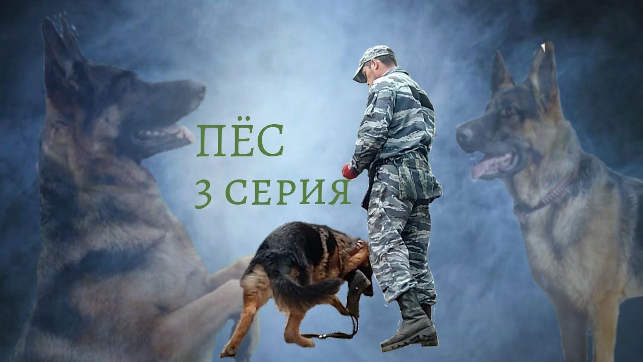 Ютуб Пес Новогодние Серии Ютуб Пес Новогодние Серии