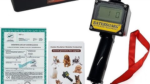 AMAZON DOG OVULATION DETECTOR,  DOG PREGNANCY