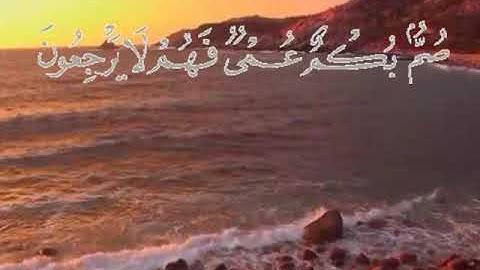 سورة البقرة اية ١٨ جمال القرش