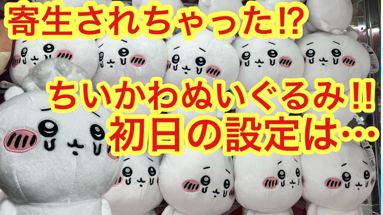 【ちいかわ】ちいかわ寄生されちゃったBIGぬいぐるみ初日の設定は！？過酷な戦い・・・始まる・・・