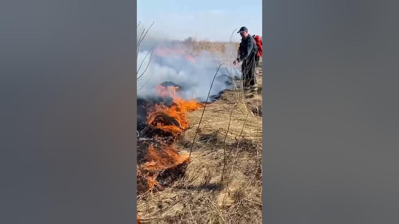 Горят поля, берегите природу! Осторожнее с огнем. Убирайте за собой ...