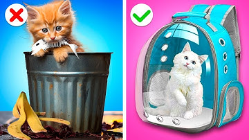 Bố vs Bố Dượng – Bọn Tớ Xây Một Căn Nhà Nhỏ Cho Mèo Con! Mẹo Hay và Tình Huống Hài từ Gotcha! Viral