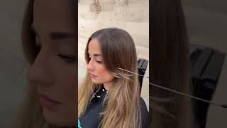 Honey Blonde Balayage on Light Brown Hair