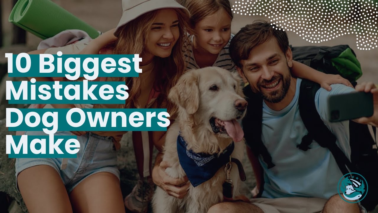 10 Biggest Mistakes Dog Owners Make