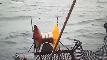 Cận cảnh câu mực bằng giàn câu máy ở nước ngoài