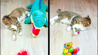 Satisfying Reverse Video ASMR 💥 Marble Run and More