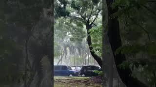 Sedia Aku Sebelum Hujan #rain #hujan #kampus #unila