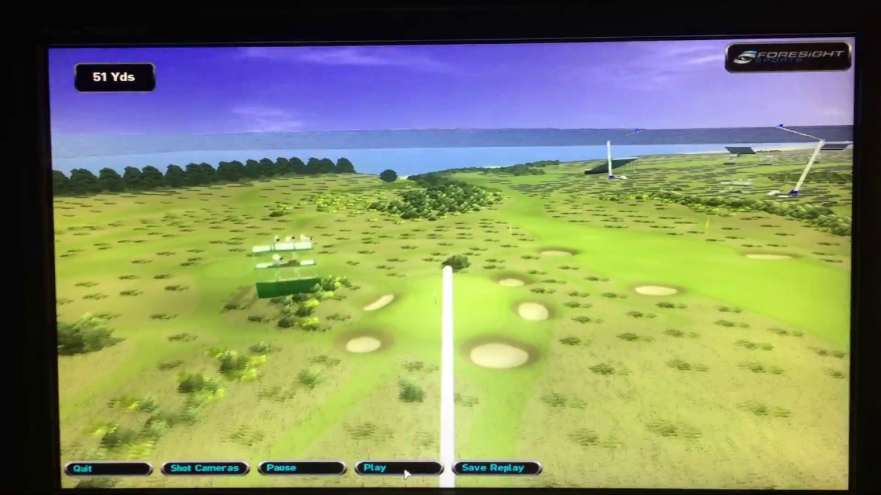 Effingham Postage Stamp Hole in One