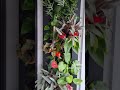 Jardines verticales #arquitecturaverde #jardinesverticales #diseñosostenible #instalaciónpasoapaso