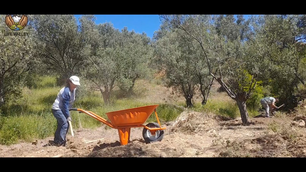 Bahçemizde Harika Bir Kaç Gün