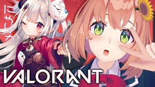 【VALORANT】のんびりゆうがたプラチナランク～にゃ～～～🐈【本間ひまわり/奈羅花/にじさんじ】