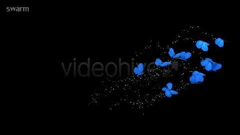Blue Butterflies Animation | Motion Graphics - Envato elements