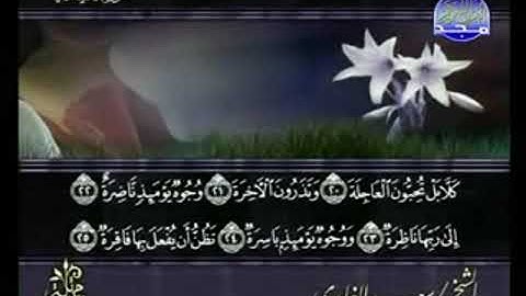 سورة القيامة من الآية 20 الى الآية 40