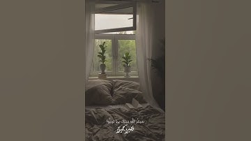 راحة نفسية🌿اجمل حالات واتس اب قرآن كريم بصوت جميل جدا🎧💖 تلاوة خاشعة ومؤثرة🌸🍃