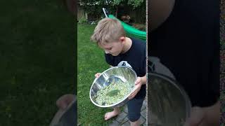 VID 20200808 185130