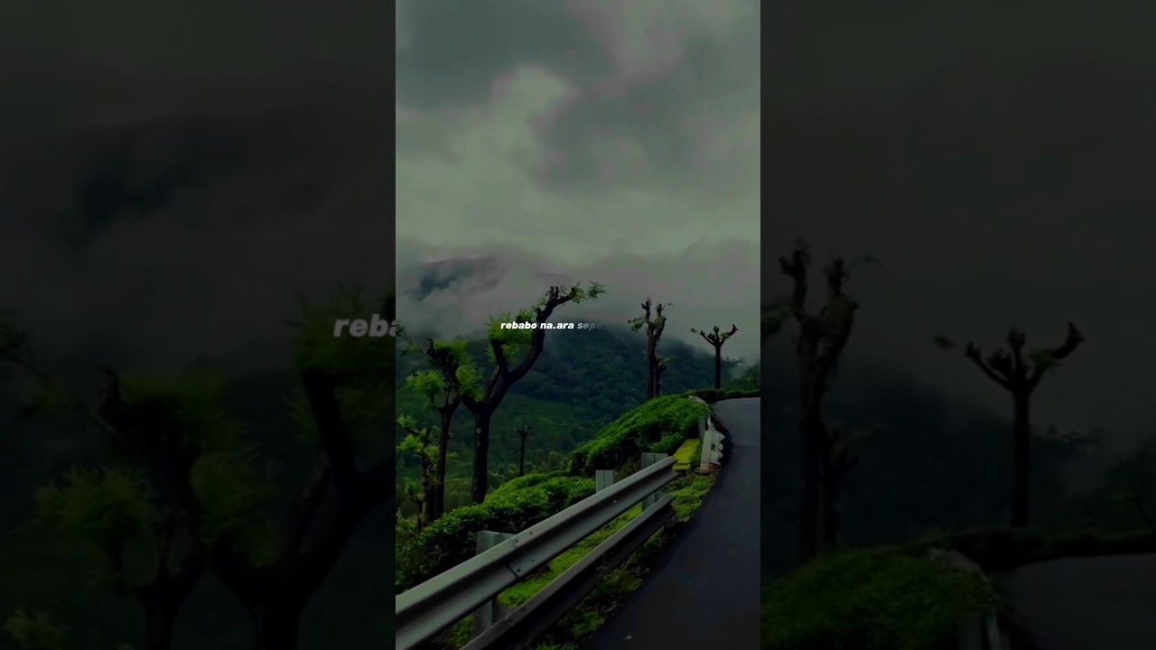 Rebabo naara status  | Ronggala | Lyrics video | short 