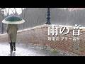 雨の効果音【小雨/雷/豪雨/フリー素材/無料】