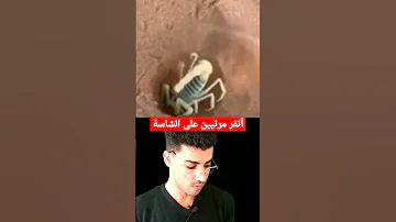 لن تصدق ماذا تفعل العقرب في الرمال سبحان الله العظيم 