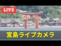 【LIVE】宮島ライブカメラ/Miyajima live camera