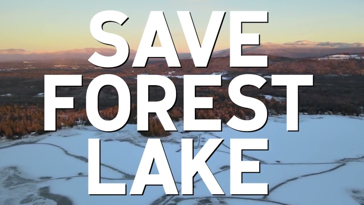 Save Forest Lake: No Landfill!