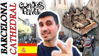 Barcelona Cathedral: View from the Roof & inside + TOP TIP