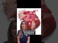 Keeping your dog protected from parasites using safe and effective medications like a combination of