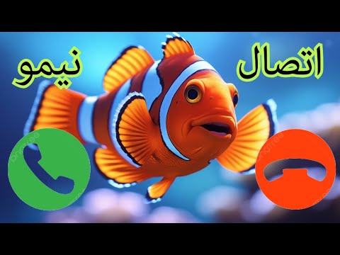 مكالمة من أعماق المحيط السمكة نيمو عندها نصيحة مهمة