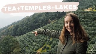 HANGZHOU CHINA | Tea Plantations, Lingyin Temple, West Lake and more INCREDIBLE things to do!