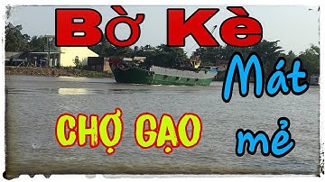 Hai cha con reviews bờ kè Chợ Gạo, gió mát mẻ rất lý tưởng | Phạm Phi Official
