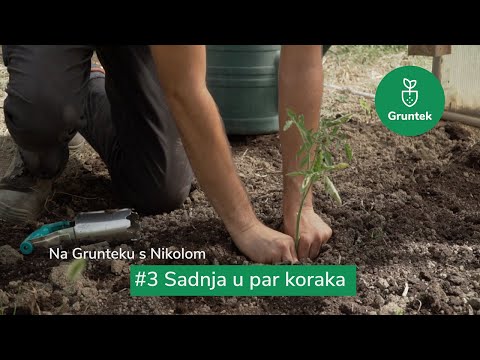 Video: Najbolje vrijeme za sadnju sadnica rajčice u 2019