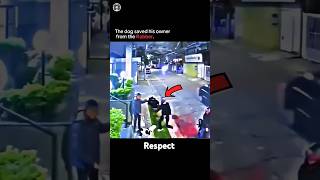 Mashallah Greatest Saved Respect Status