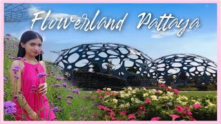 Flower Land Pattaya Thailand